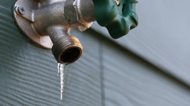 Best Clogged Drain Plumber  in Auburn Hills, MI
